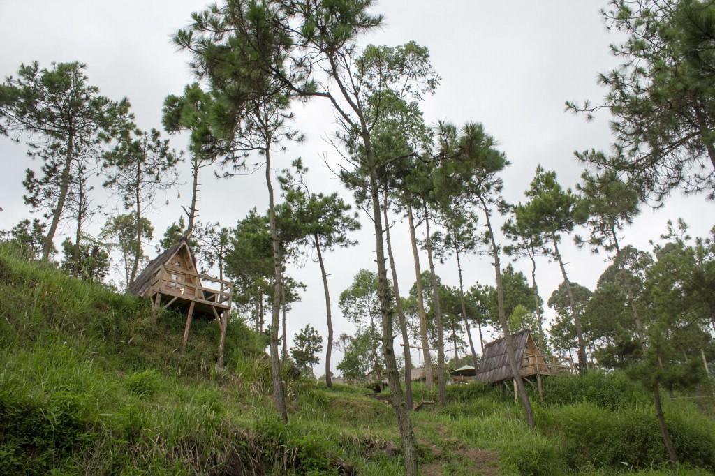 Papandayan Camping Ground Hotel Cileuleuy Luaran gambar