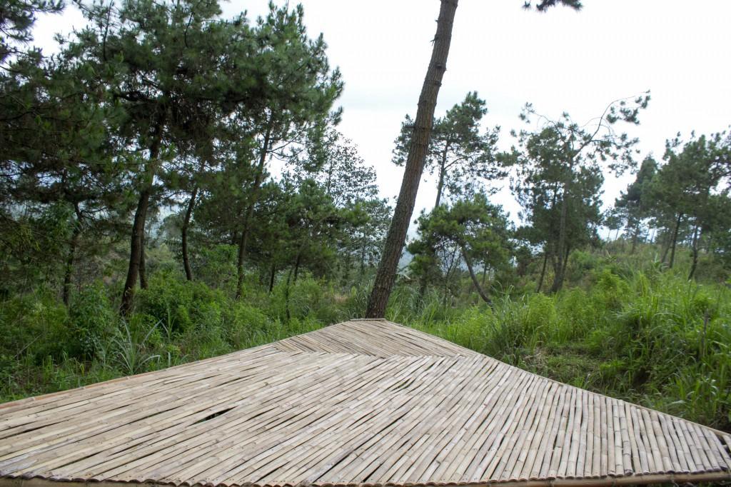 Papandayan Camping Ground Hotel Cileuleuy Luaran gambar