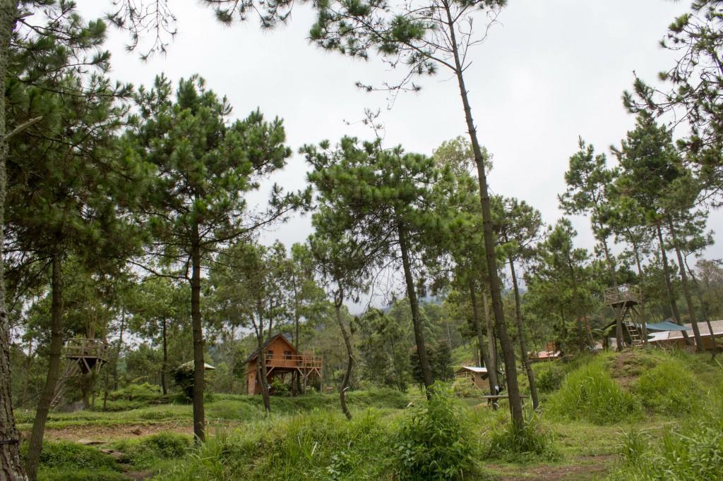 Papandayan Camping Ground Hotel Cileuleuy Luaran gambar