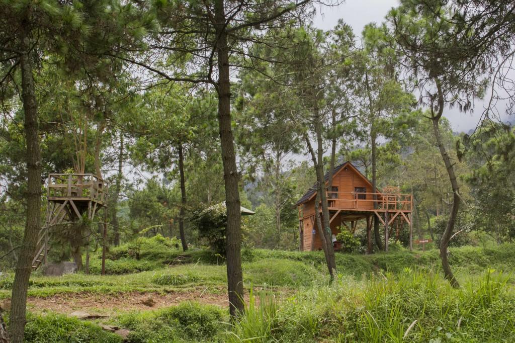 Papandayan Camping Ground Hotel Cileuleuy Luaran gambar